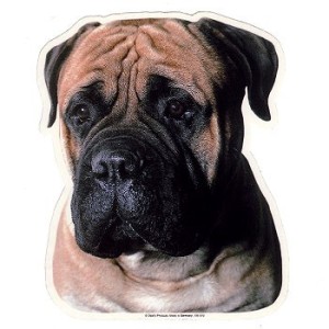 Naklejka bullmastiff - głowa 1szt.