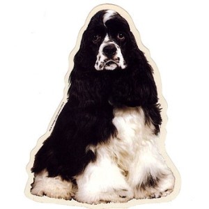 Naklejka amerykański cocker spaniel 1szt.