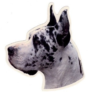 Naklejka dog arlekin - głowa 1szt.
