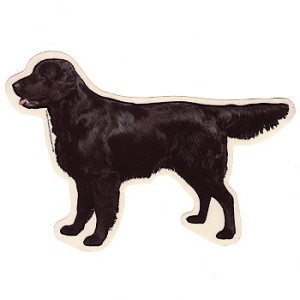 Naklejka flat coated retriever 1szt.