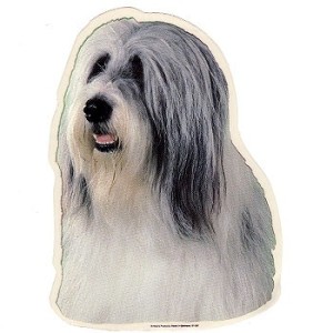 Naklejka bearded collie - głowa 1szt.