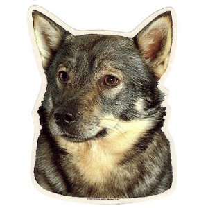 Naklejka szwedzki vallhund 1szt.