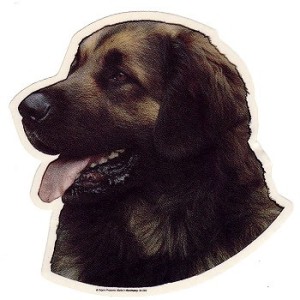 Naklejka leonberger - głowa 1szt.