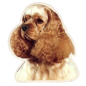 Naklejka cocker spaniel amerykański  - głowa 1szt.