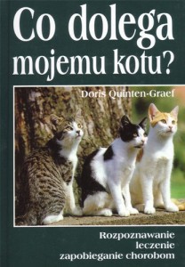 K.CO DOLEGA MEMU KOTU