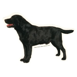 Naklejka labrador 1szt.