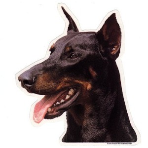 Naklejka doberman - głowa 1szt.