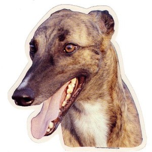 Naklejka greyhound - głowa 1szt.