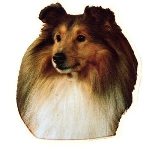 Naklejka sheltie głowa 1szt.
