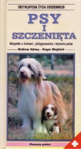 K.PSY I SZCZENIĘTA