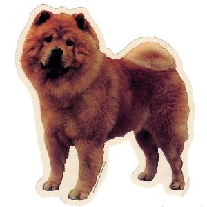 Naklejka chow-chow 1szt.