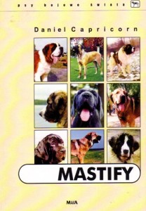 K.MASTIFY (MADA)