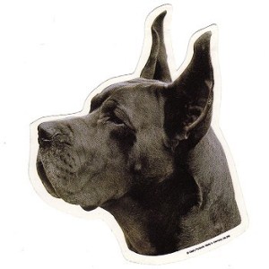 Naklejka dog niemiecki błękitny - głowa 1szt.
