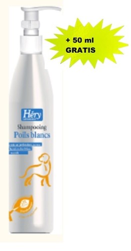 JPHN 1018 P2.jpg